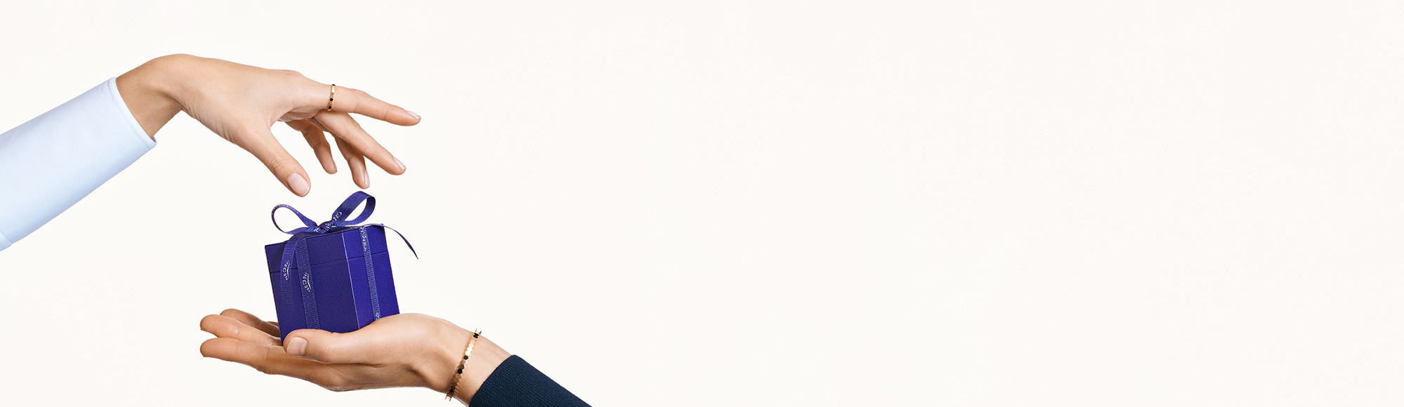 تشكيلة موسم الأعياد