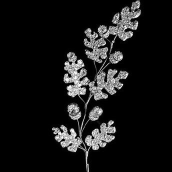 wide-inspi-nature-chene