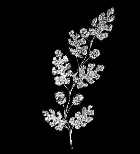 wide-inspi-nature-chene