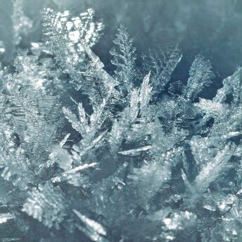 Les Mondes de Chaumet - Inspiration - Promenades Impériales