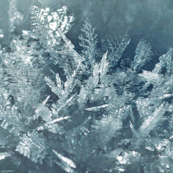 Les Mondes de Chaumet - Inspiration - Promenades Impériales