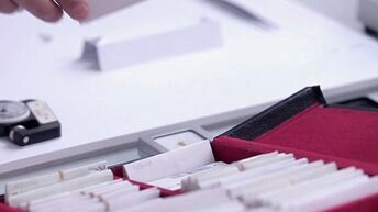 triptyque-sf-engagements