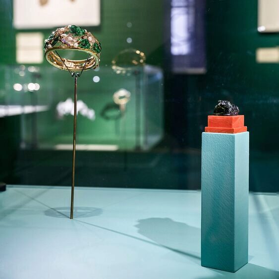 Dess(e)in de Nature Exhibition