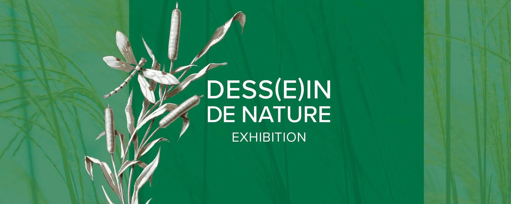 Dess(e)in de Nature Exhibition