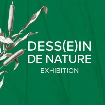 Dess(e)in de Nature Exhibition