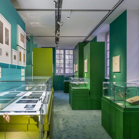 Dess(e)in de Nature Exhibition