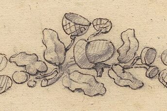 Dess(e)in de Nature Exhibition