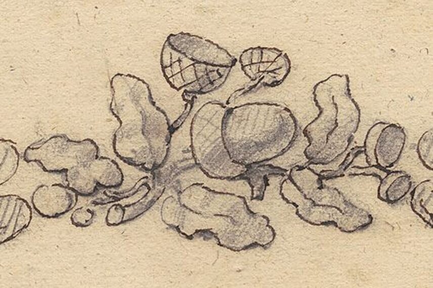 Dess(e)in de Nature Exhibition