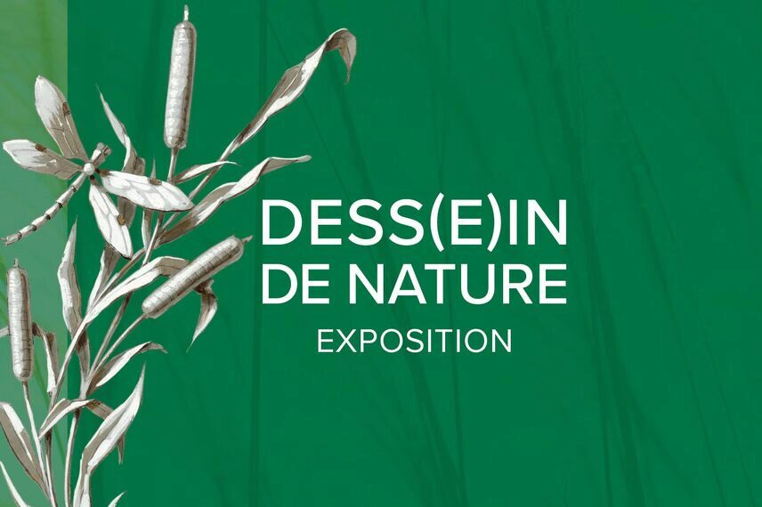 Brillantes écritures exposition