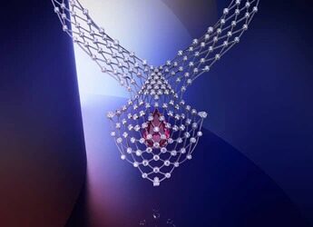 Perspectives de Chaumet High Jewellery collection