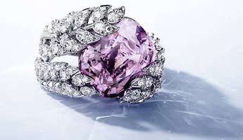 Generic_HJ jardin_square