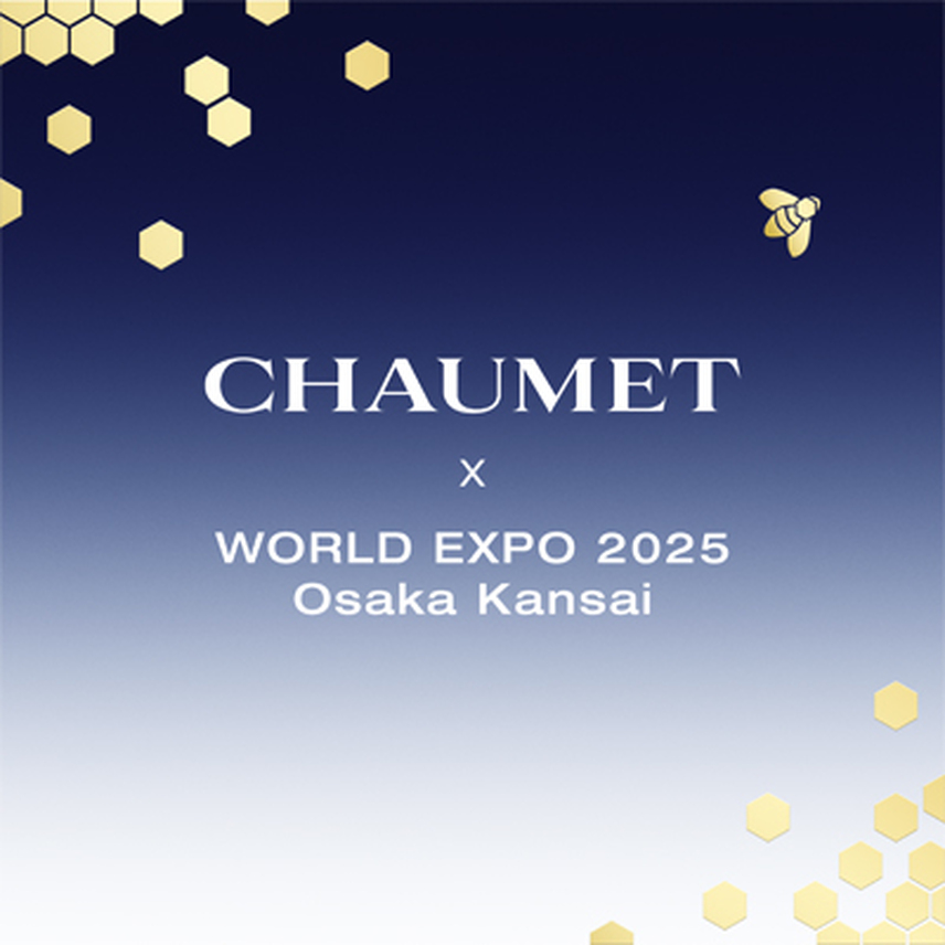 CHAUMET ショーメ スタイル レクタングル ダイヤモンド 12P